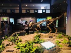 -自贡恐龙博物馆