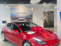 -TESLA 特斯拉(深圳观澜特斯拉直营钣喷中心)