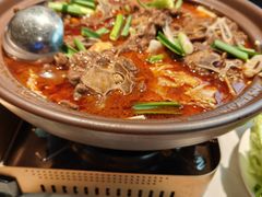 -杨氏青龙虾·羊蝎子(金盛路总店)