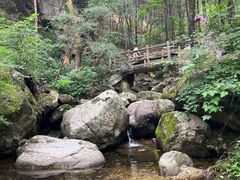 -王顺山国家森林公园