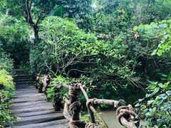 -龙山酒店温泉