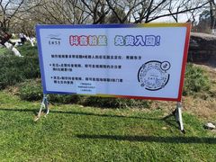 -秀丽东方