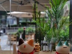 -Infica Coffee