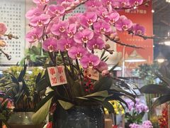 -双季花艺园艺市场(浦东店)