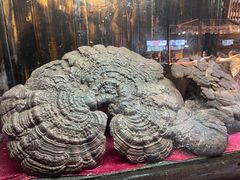 -九乡风景区