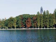 -东湖落雁景区