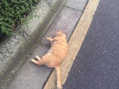 -南京东郊国宾馆