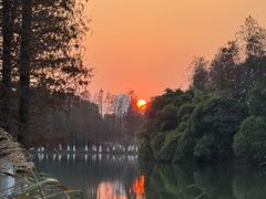 -艾溪湖湿地公园