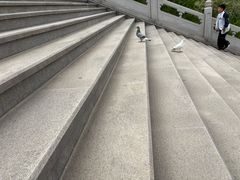 -龙口南山旅游景区