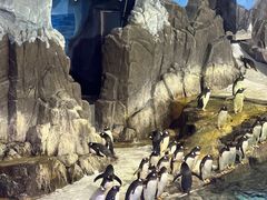 -成都浩海立方海洋公园