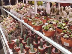 -KKV(深圳宏发大仟里店)