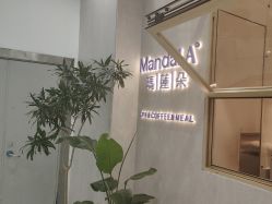 -玛莲朵·海菲秀冰珀科