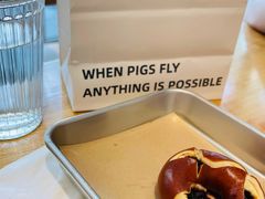 -WHEN PIGS FLY当猪飞