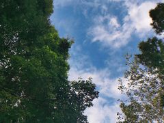 -青城道汤池