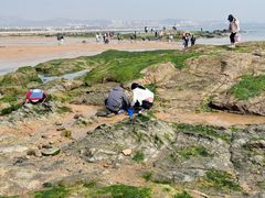 -巧克力渔家.小船海鲜胶东菜(万平口店)