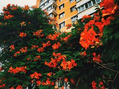 -东北大学(南湖校区)
