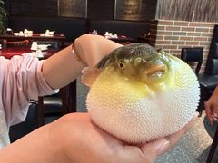 -永安鱼庄·镇江菜(东吴路店)