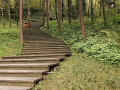 -青城山