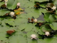 -南通博物苑-崇川人民公园