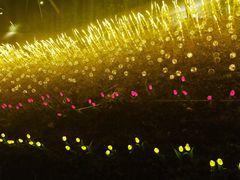 -怡海公园(桂城街道)