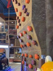 -卡通尼·Safari非洲探索乐园·生日会(金桥国际商业广场店)