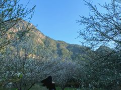 -福建天门山