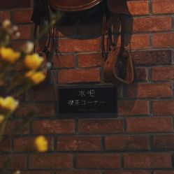 -IDOL-PLUS