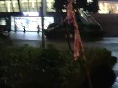 -杭州城北体育公园