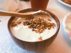 老爷自制酸奶-巴依老爷新疆美食(工体旗舰店)