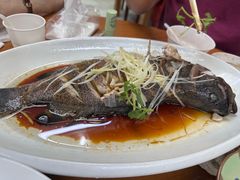-望海潮海鲜店 特色家常菜(在海一方店)