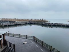 -新木器时代餐厅(太湖新天地店)