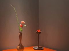 -觀芷隐轩