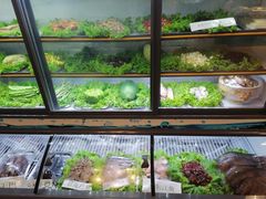 -银生食府·普洱菜(金星店)