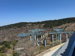 -王莽岭风景区