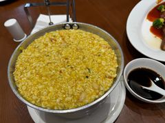 -丁老爷子苏香圆