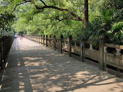 -南山植物园