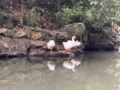 -兰亭风景区