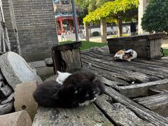 -金州副都统衙门博物馆