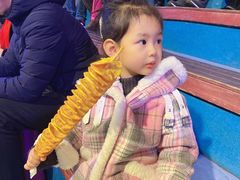 -大连圣亚海洋世界