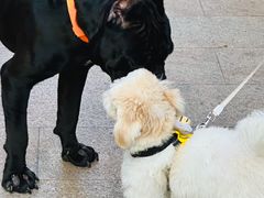 -佛山京华广场MALL