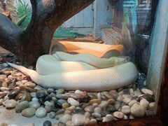 -石家庄市动物园