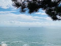 -小麦岛公园