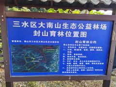 -佛山市三水区大南山森林公园
