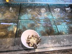 -金马门国际美食百汇(珞喻路店)