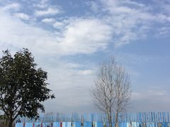 -太白山国家森林公园-停车场