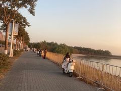 -宝安西湾红树林湿地公园