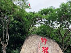-野狸岛