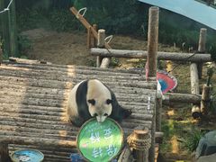 -大连森林动物园