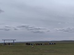-额尔古纳黑山头绿野马帮骑马场