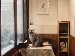 -隅cafe(傅厚岗店)